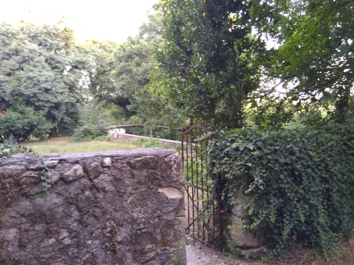 Jankovich Castle Leilighet Benkovac Eksteriør bilde