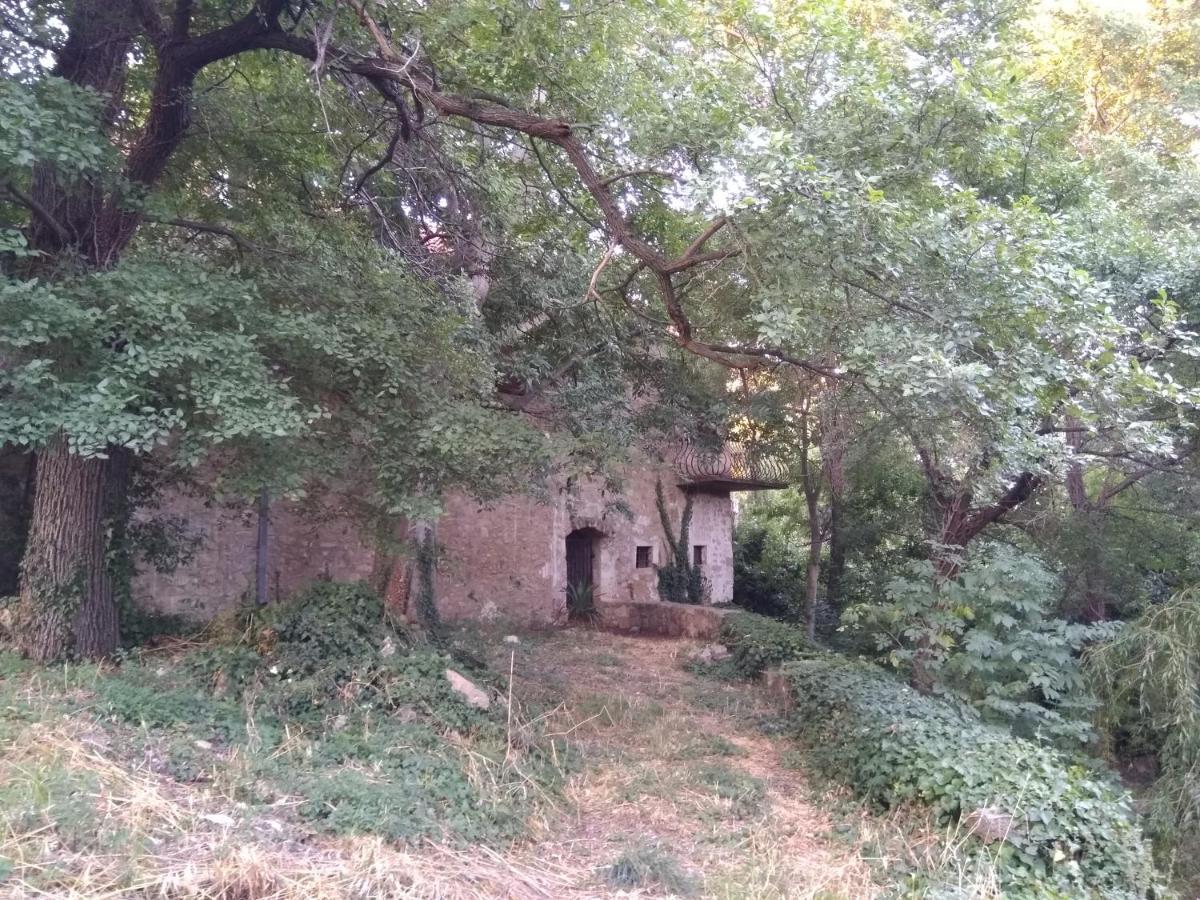 Jankovich Castle Leilighet Benkovac Eksteriør bilde
